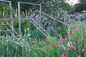 Trellises