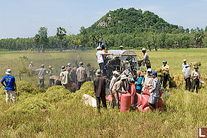 Community Threshing