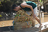 Longan Loading On Boat