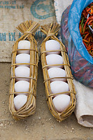 Five Eggs In Reeds