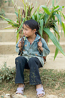 Kids With ABasket Of Feed