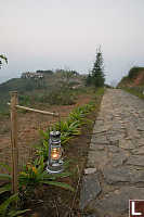 Lantern Next To Road