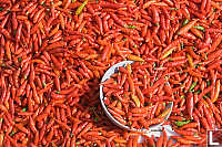 Red Peppers