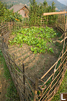 Small Vegetable Patch