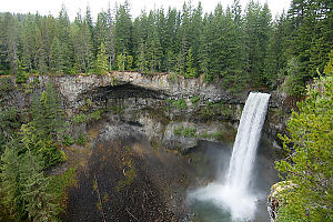 Brandwine Falls