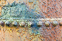 Crusty Bolts On Side Of Donkey