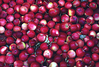 Red Apples