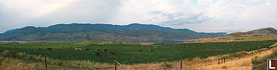 Lake Kamloops Panorama