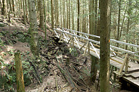 Lesters Bridge Over Abeland Canyon