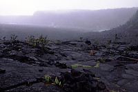 Entering the Kilauea Iki Crater