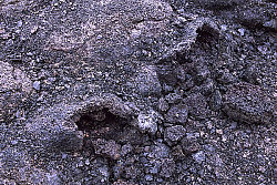Rocks in Kilauea Iki Crater