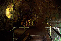 Thurston Lava Tube