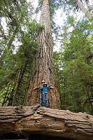 Helen And IAt Giant Tree