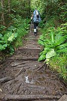 Mud Pit Hiking