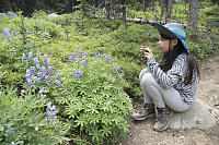 Claira Photographing Lupins
