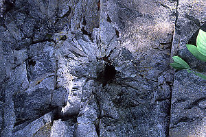 Blast Fracture