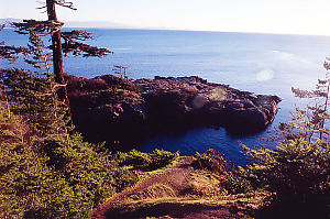 Eagle Island From Trail