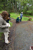 Studying Petroglyph