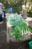 Veggies At Market