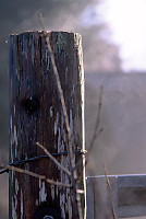 Steaming Fence Post