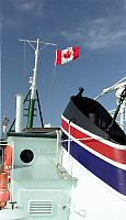 The rear deck of the ship