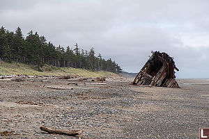 Wreck Of Pezuta