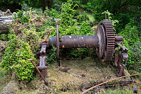 Old Winch Being Grown Over