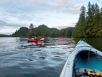 Kayaking With The Kids