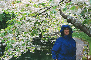 Mom Under Apple Blossoms