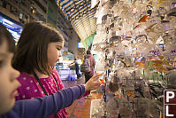 Bags Of Goldfish