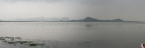 North Hide