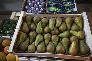 Concorde Pears