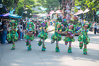 Row Of Forest Performers