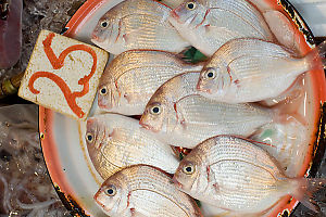 Plate Of Fish