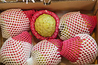 Box Of Guava