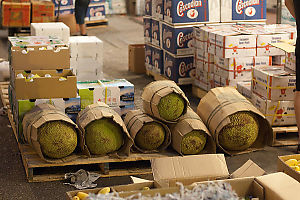 Pallet Of Jack Fruit