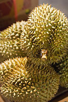 Stack Of Durian