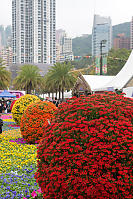 Giant Flower Topiary