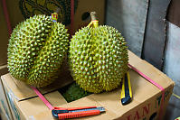 Thai Durian