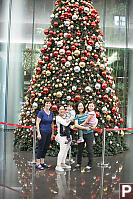 Bountiful Christmas Tree In Hong Kong