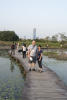 My Parents At Mai Po