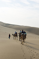 Group Walking In Dunes
