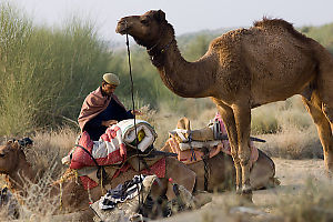 Loading Onto Saddle