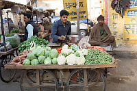 Mobile Vegetable Stand