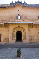 Plant In Courtyard