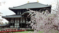 Huge Wooden Temple