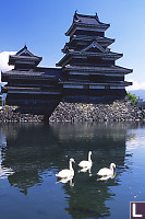 Castle With Swans