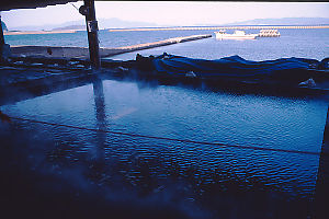 Flooded Pool