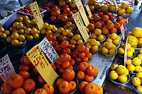 Variety Of Citrus