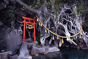 Shrine And Tree In Pool